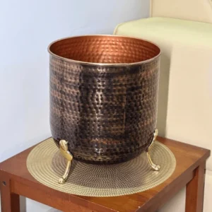 Regal Root Planter